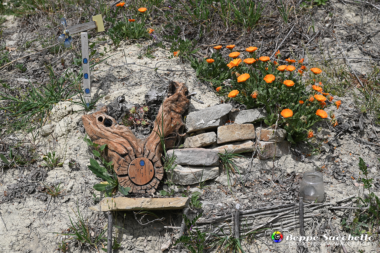 VBS_3229 - Mango (Cuneo) - Gnomovia.jpg